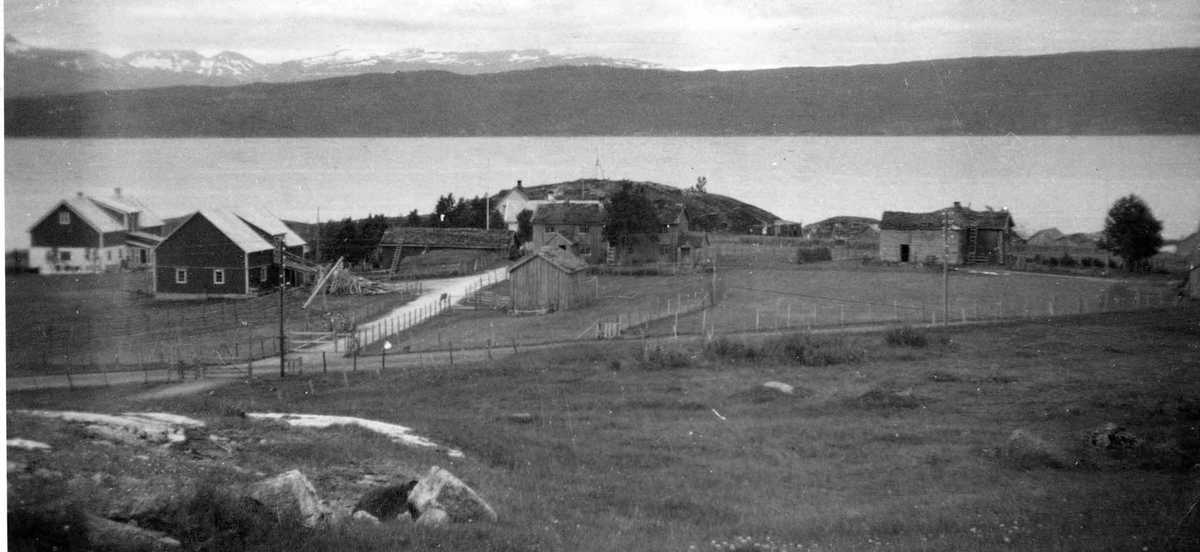 Virek på slutten av krigen, truleg 1944 Virek på slutten av krigen, truleg 1944