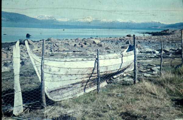 Den gamle firroringen fekk ikkje plass då nytt naust blei bygd på Indregard. Den gamle firroringen fekk ikkje plass då nytt naust blei bygd på Indregard.
