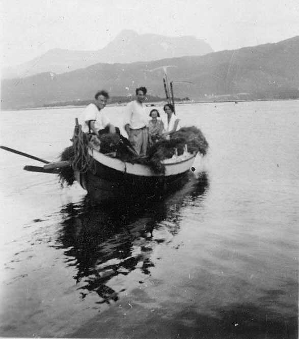 Martin dreiv med utmarksslått både i Erikvika og på Virekøyane. Her har Torleif (ståande), Olga (i atterskotten) og Asbjørn Gimse (olga sin mann, fremst) ein god farm med høy med seg heim frå Øyane i treroringen Martin dreiv med utmarksslått både i Erikvika og på Virekøyane. Her har Torleif (ståande), Olga (i atterskotten) og Asbjørn Gimse (olga sin mann, fremst) ein god farm med høy med seg heim frå Øyane i treroringen