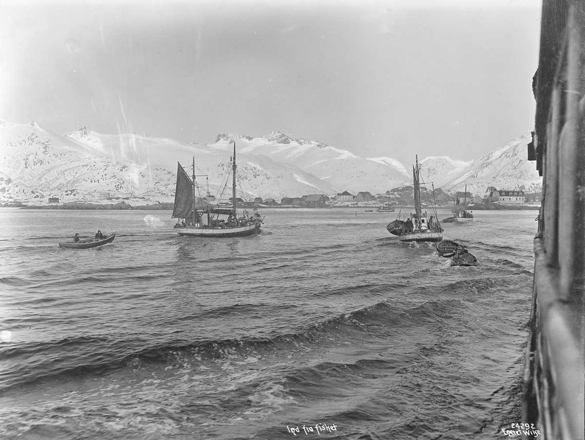 Lofotfisket i 1924. Frå Svolvær. Foto: Anders Beer Wilse/i offentleg eige. Lofotfisket i 1924. Frå Svolvær. Foto: Anders Beer Wilse/i offentleg eige.